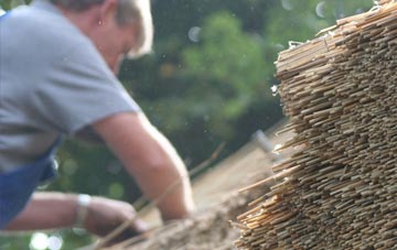 professional Knockin thatchers